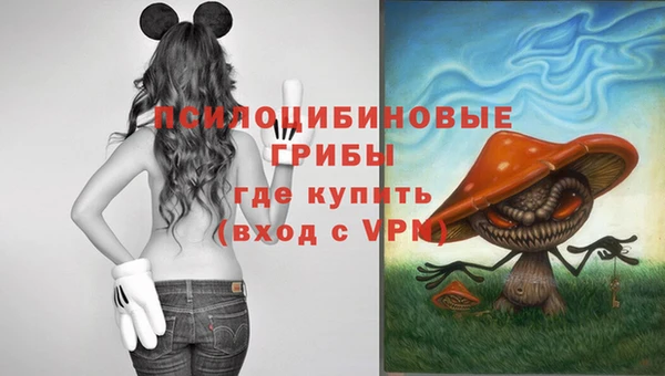 прущие крисы Мегион