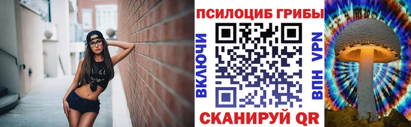 Псилоцибиновые грибы Psilocybe  Миньяр 
